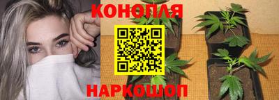 мяу мяу мука Усть-Джегута