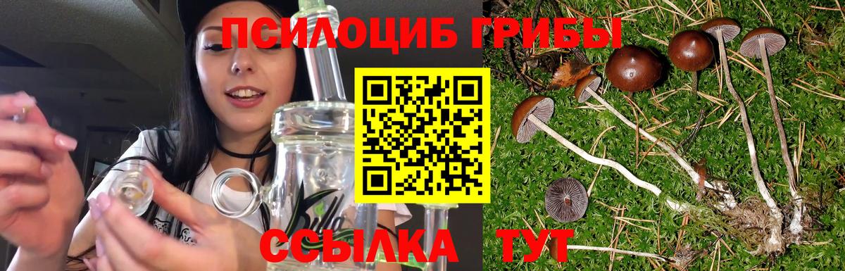 Галлюциногенные грибы мухоморы  Вход с VPN  наркотики  Баксан 